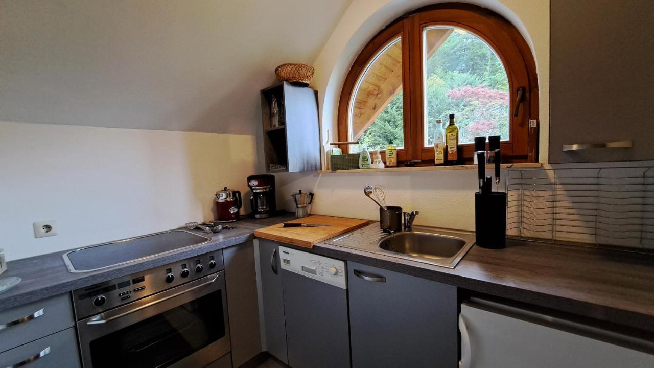 Gemuetliche Waldrandlage In Badenweiler Sehringen Ferienwohnung מראה חיצוני תמונה