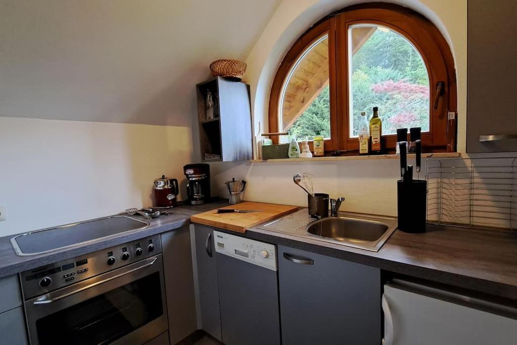 Gemuetliche Waldrandlage In Badenweiler Sehringen Ferienwohnung מראה חיצוני תמונה