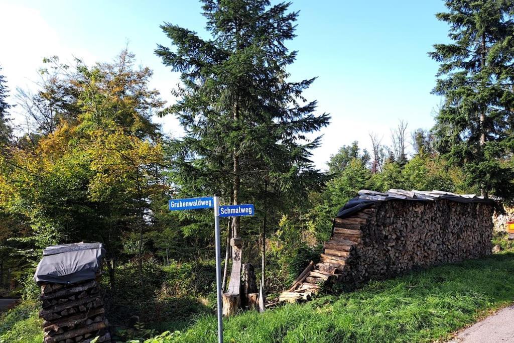 Gemuetliche Waldrandlage In Badenweiler Sehringen Ferienwohnung מראה חיצוני תמונה