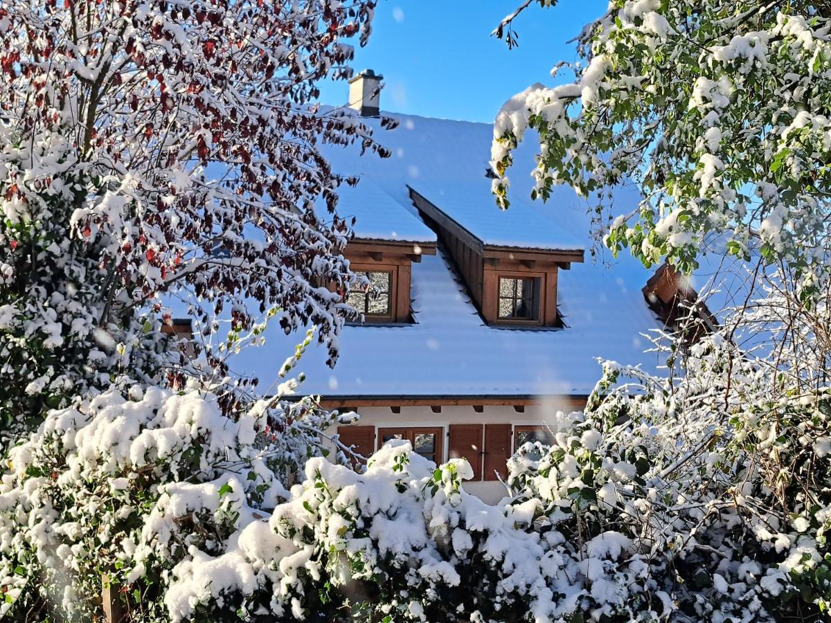 Gemuetliche Waldrandlage In Badenweiler Sehringen Ferienwohnung מראה חיצוני תמונה