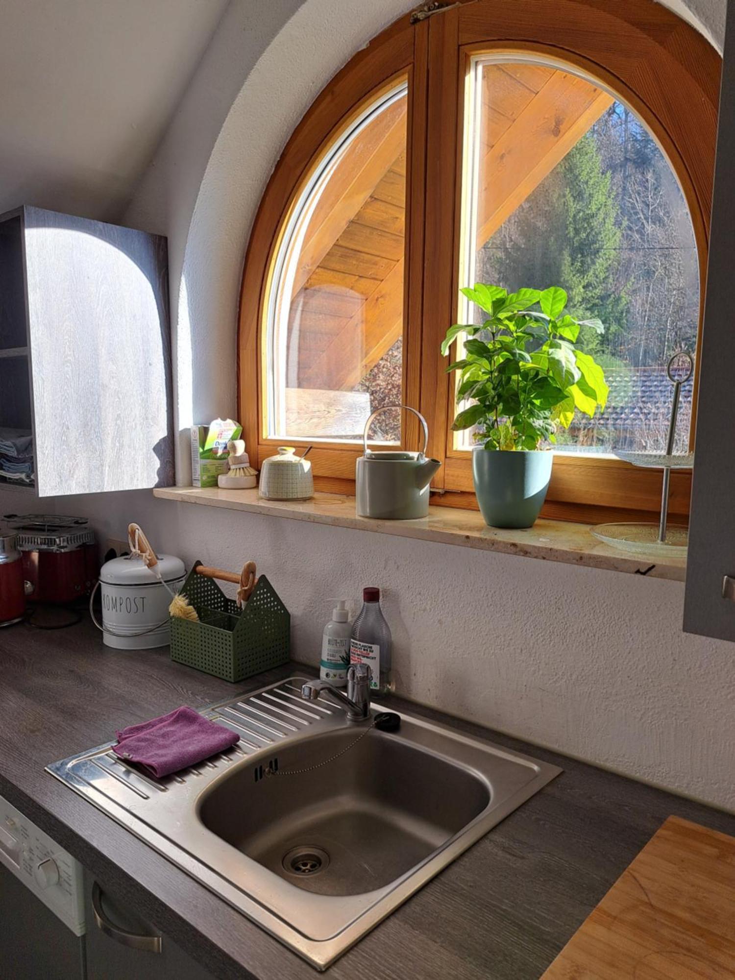 Gemuetliche Waldrandlage In Badenweiler Sehringen Ferienwohnung מראה חיצוני תמונה